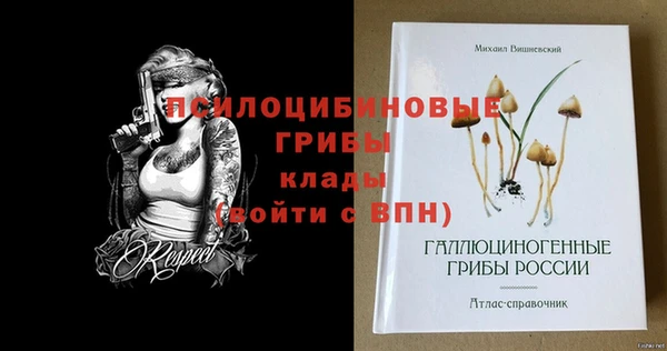 сатива Алексин