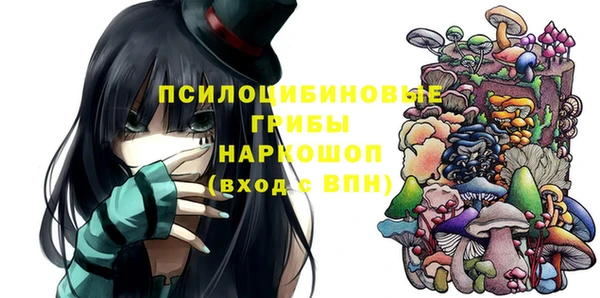 сатива Алексин