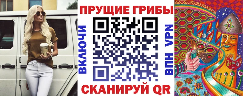 Галлюциногенные грибы Psilocybine cubensis Дмитров
